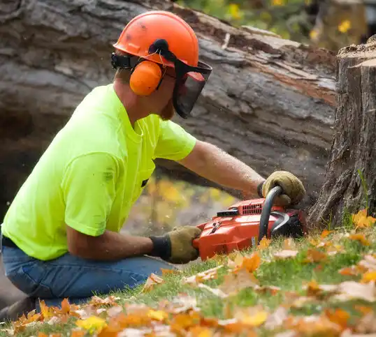 tree services Crowley